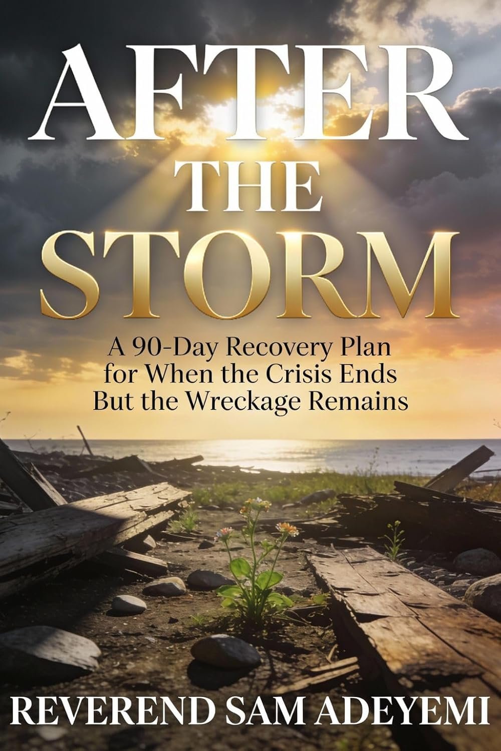 After the Storm